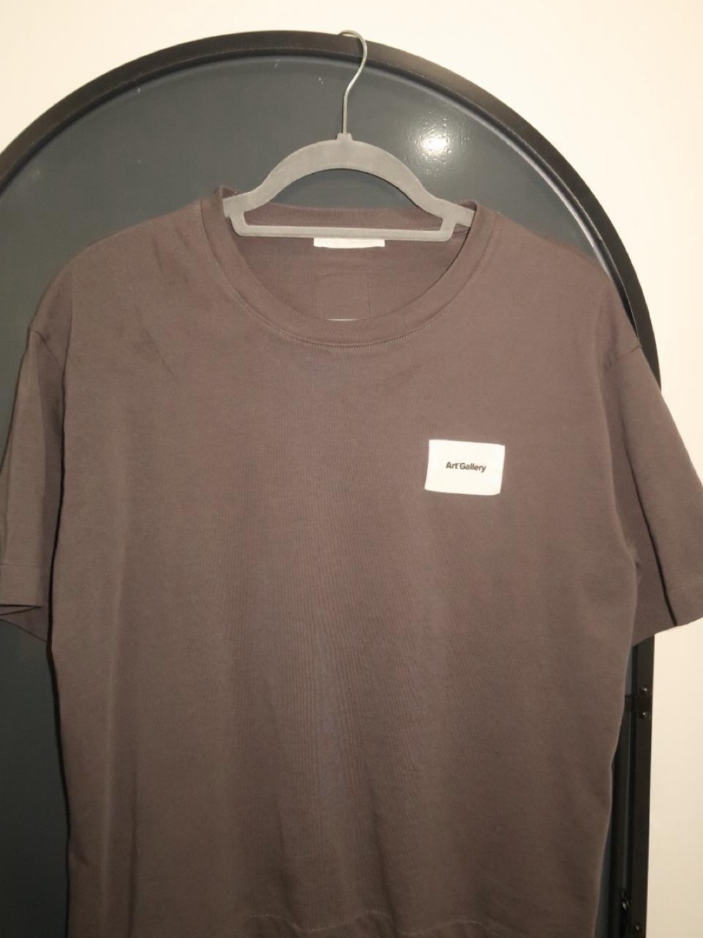 Mens Zara Gallery Men's Crewneck T-Shirt in Brown